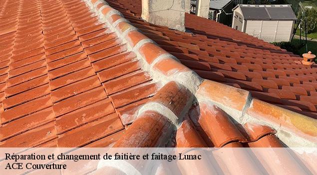 Réparation et changement de faitière et faitage  lunac-12270 ACE Couverture 