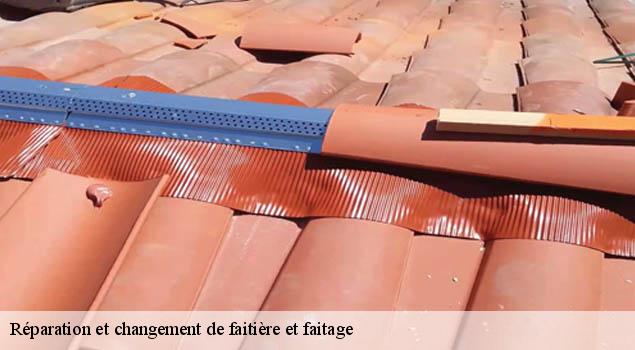 Réparation et changement de faitière et faitage  morlhon-le-haut-12200 John Toiture Couvreur 12