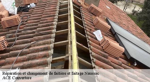 Réparation et changement de faitière et faitage  naussac-12700 ACE Couverture 