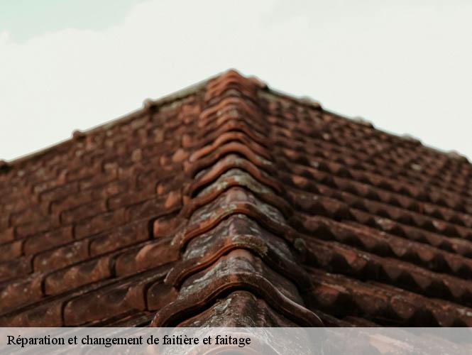 Réparation et changement de faitière et faitage  riviere-sur-tarn-12640 WS couverture