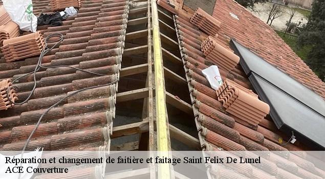 Réparation et changement de faitière et faitage saint-felix-de-lunel-12320 ACE Couverture