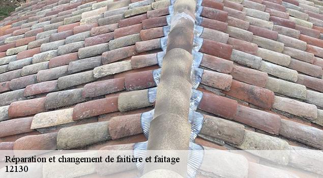Réparation et changement de faitière et faitage  saint-geniez-d-olt-12130 ACE Couverture 