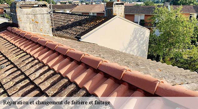 Réparation et changement de faitière et faitage  saint-saturnin-de-lenne-12560 ACE Couverture 