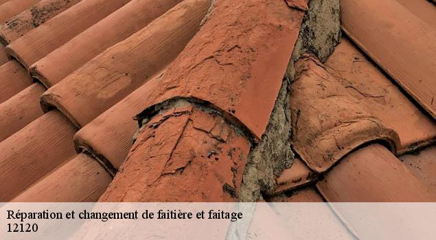 Réparation et changement de faitière et faitage  salmiech-12120 John Toiture Couvreur 12