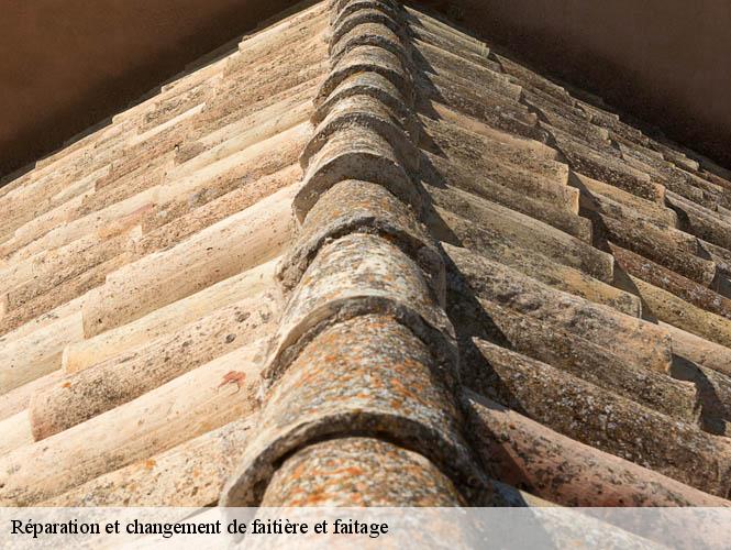 Réparation et changement de faitière et faitage  la-salvetat-peyrales-12440 WS couverture