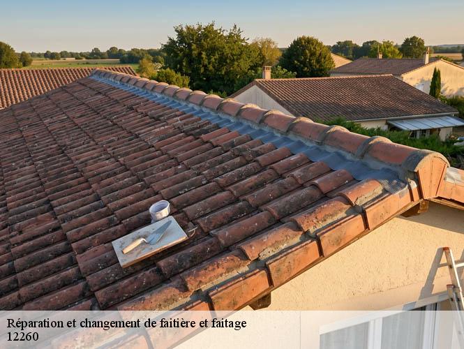 Réparation et changement de faitière et faitage  saujac-12260 WS couverture