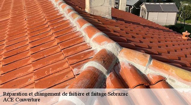Réparation et changement de faitière et faitage sebrazac-12190 ACE Couverture