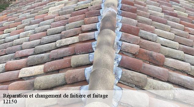 Réparation et changement de faitière et faitage  severac-le-chateau-12150 ACE Couverture 