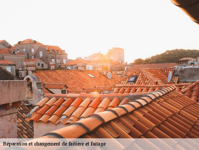 Réparation et changement de faitière et faitage  valzergues-12220 WS couverture