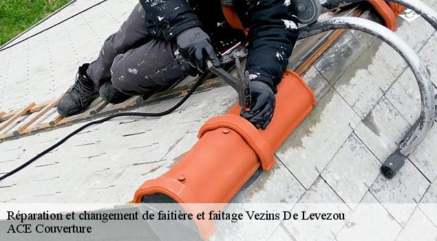 Réparation et changement de faitière et faitage vezins-de-levezou-12780 ACE Couverture