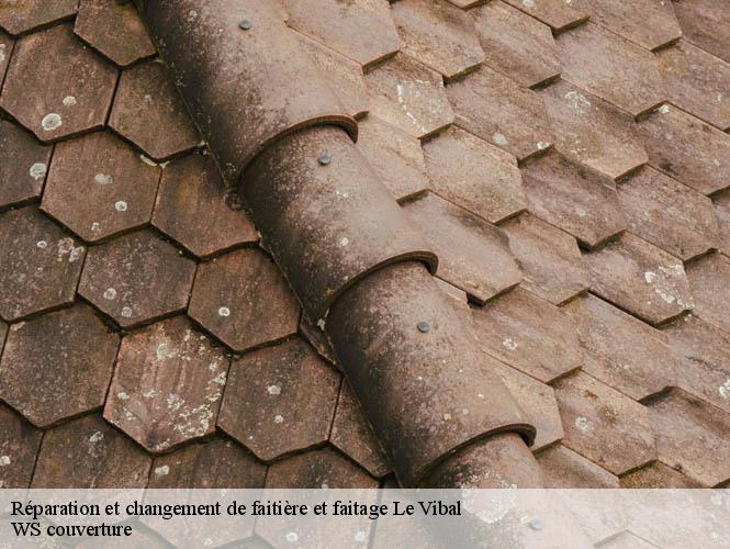 Réparation et changement de faitière et faitage  le-vibal-12290 WS couverture