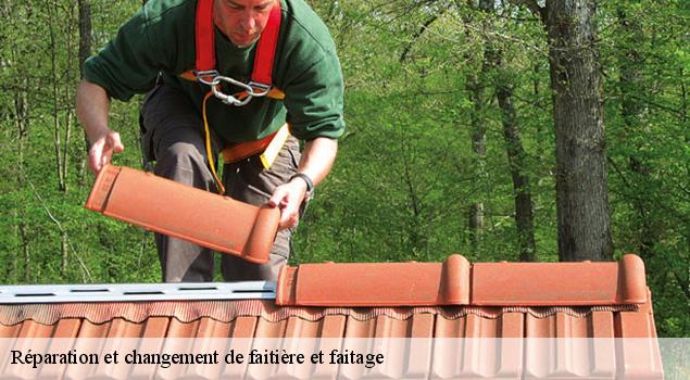 Réparation et changement de faitière et faitage  combes-12110 ACE Couverture 