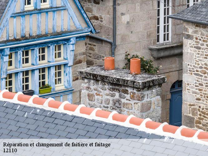 Réparation et changement de faitière et faitage  le-gua-12110 WS couverture