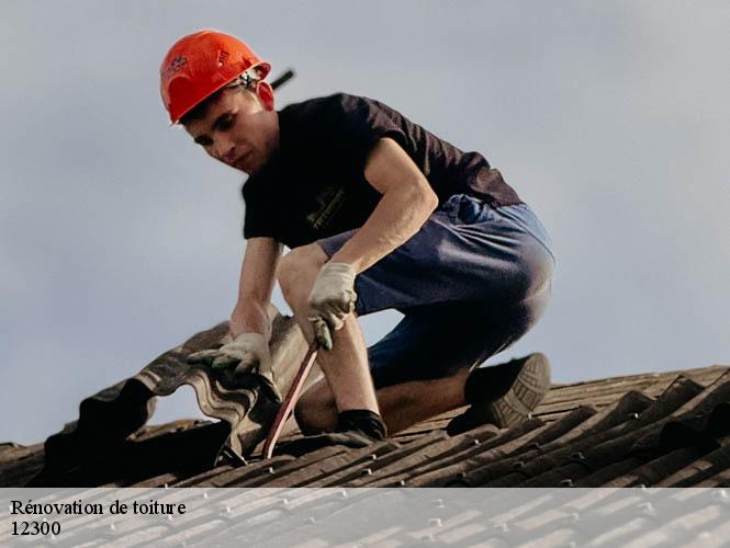 Rénovation de toiture  almont-les-junies-12300 WS couverture