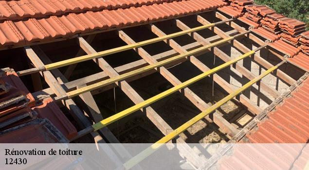 Rénovation de toiture  alrance-12430 John Toiture Couvreur 12