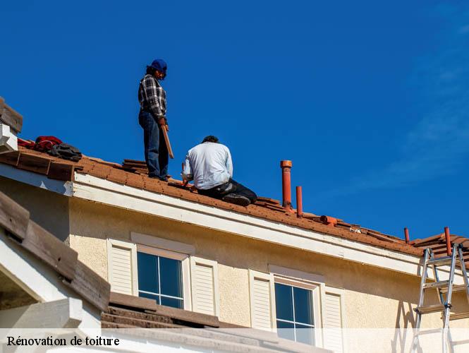 Rénovation de toiture  aurelle-verlac-12130 WS couverture