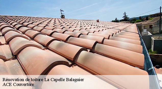 Rénovation de toiture  la-capelle-balaguier-12260 ACE Couverture 