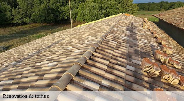 Rénovation de toiture  estaing-12190 ACE Couverture 