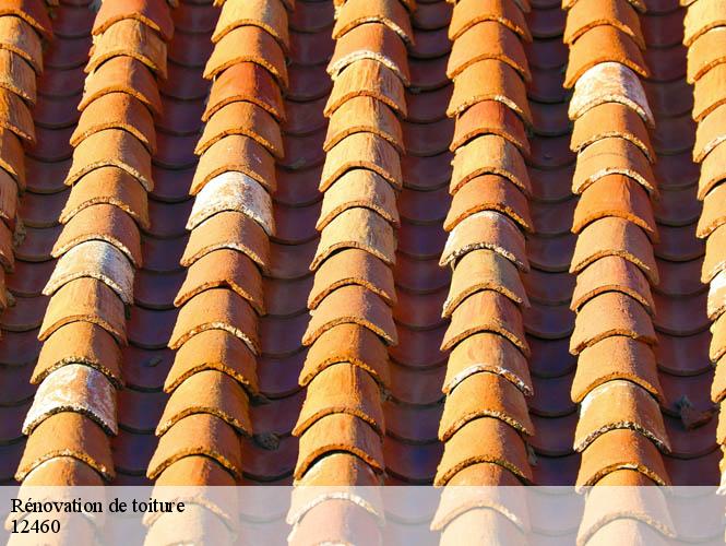 Rénovation de toiture  huparlac-12460 WS couverture