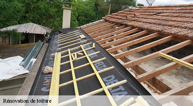 Rénovation de toiture  lavernhe-12150 ACE Couverture 