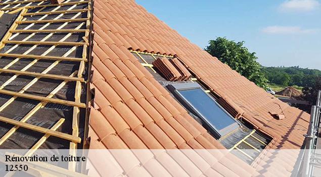 Rénovation de toiture  montclar-12550 ACE Couverture 