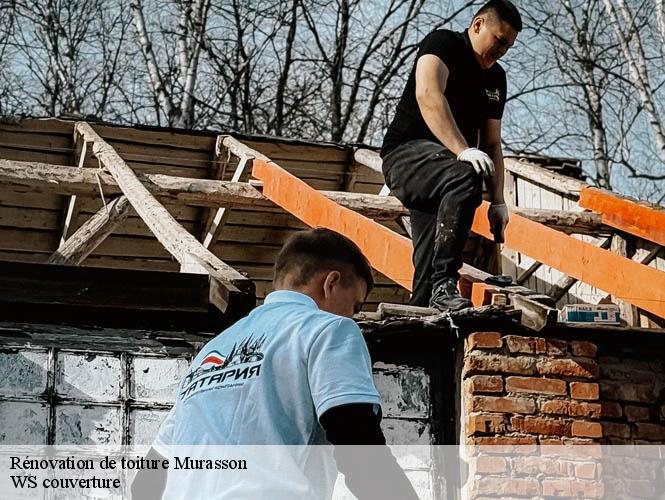 Rénovation de toiture  murasson-12370 WS couverture