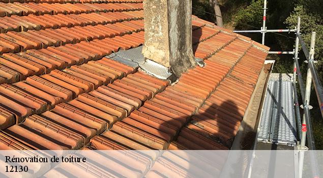 Rénovation de toiture  pomayrols-12130 ACE Couverture 