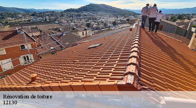 Rénovation de toiture  sainte-eulalie-d-olt-12130 ACE Couverture 