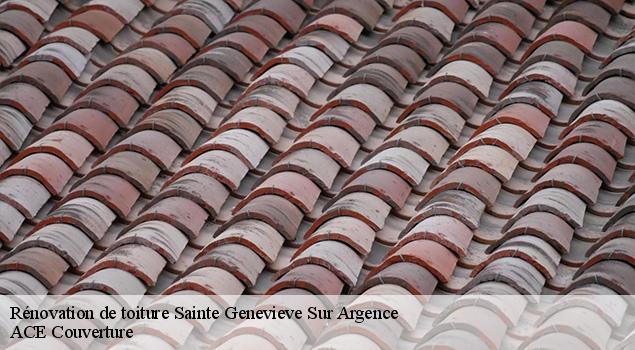 Rénovation de toiture  sainte-genevieve-sur-argence-12420 ACE Couverture 