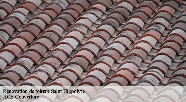 Rénovation de toiture saint-hippolyte-12140 ACE Couverture