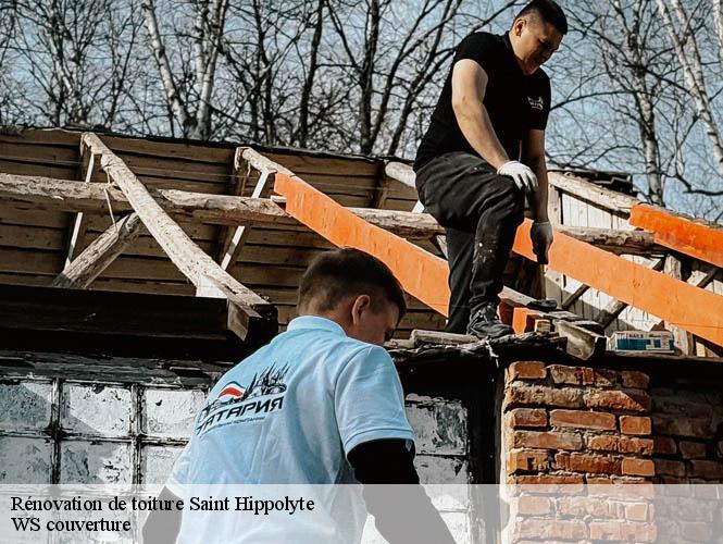 Rénovation de toiture  saint-hippolyte-12140 WS couverture