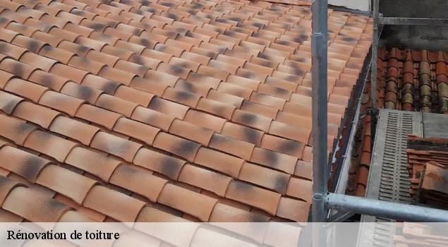 Rénovation de toiture saint-juery-12550 John Toiture Couvreur 12