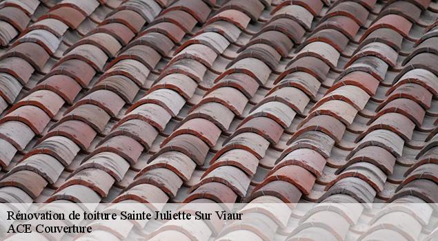 Rénovation de toiture  sainte-juliette-sur-viaur-12120 ACE Couverture 