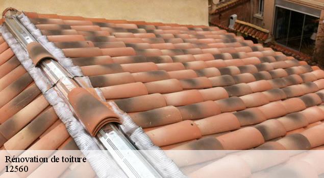 Rénovation de toiture  saint-saturnin-de-lenne-12560 John Toiture Couvreur 12