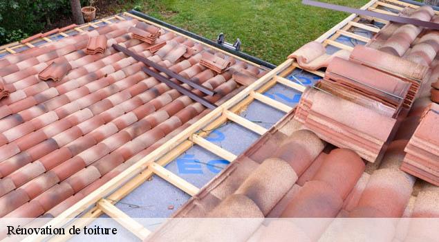 Rénovation de toiture  causse-et-diege-12700 John Toiture Couvreur 12