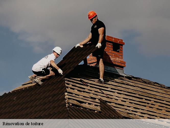 Rénovation de toiture  sanvensa-12200 WS couverture