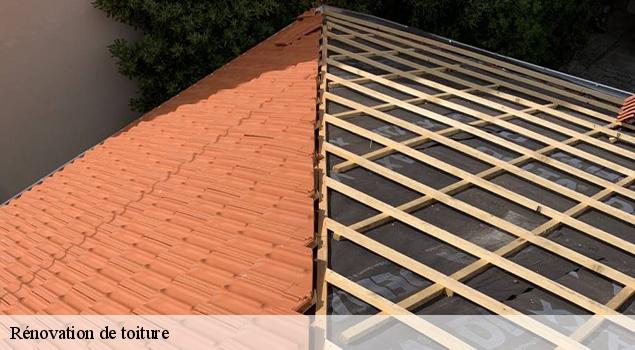 Rénovation de toiture  senergues-12320 ACE Couverture 