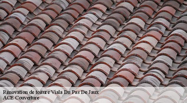 Rénovation de toiture  viala-du-pas-de-jaux-12250 ACE Couverture 