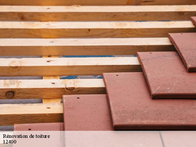 Rénovation de toiture  melvieu-12400 WS couverture