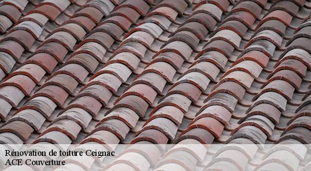 Rénovation de toiture ceignac-12450 ACE Couverture