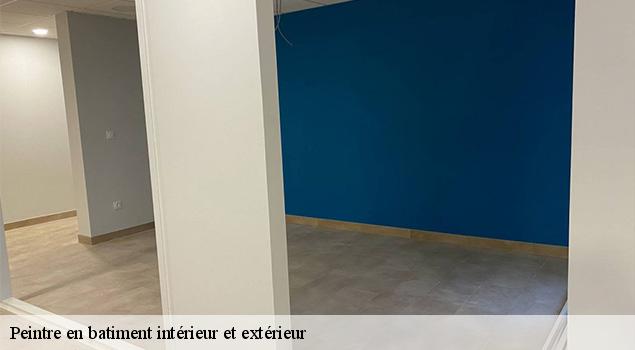 Peintre en batiment intérieur et extérieur  la-capelle-bonance-12130 ACE Couverture 