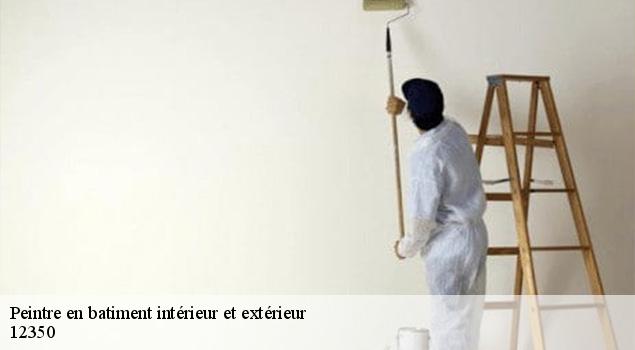 Peintre en batiment intérieur et extérieur  drulhe-12350 ACE Couverture 