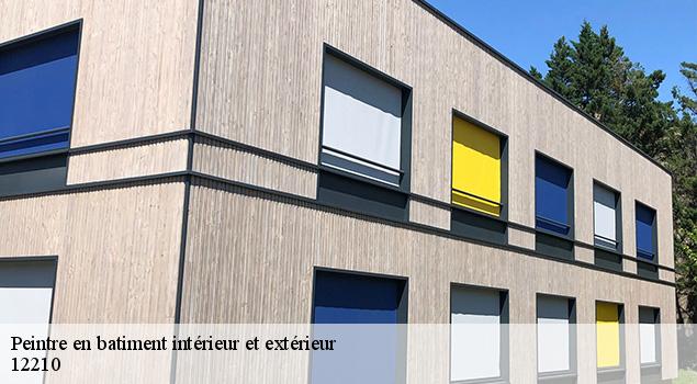 Peintre en batiment intérieur et extérieur la-terrisse-12210 ACE Couverture