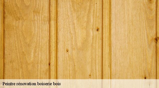 Peintre rénovation boiserie bois  la-bastide-pradines-12490 ACE Couverture 