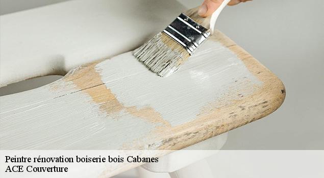 Peintre rénovation boiserie bois  cabanes-12800 ACE Couverture 