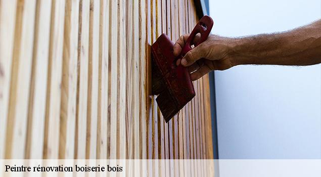 Peintre rénovation boiserie bois  capdenac-gare-12700 ACE Couverture 