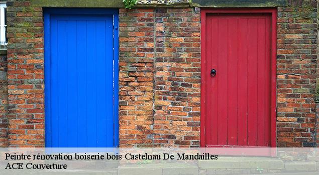 Peintre rénovation boiserie bois  castelnau-de-mandailles-12500 ACE Couverture 