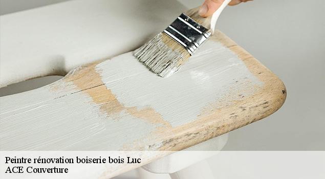 Peintre rénovation boiserie bois  luc-12450 ACE Couverture 