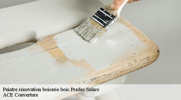 Peintre rénovation boiserie bois  prades-salars-12290 ACE Couverture 