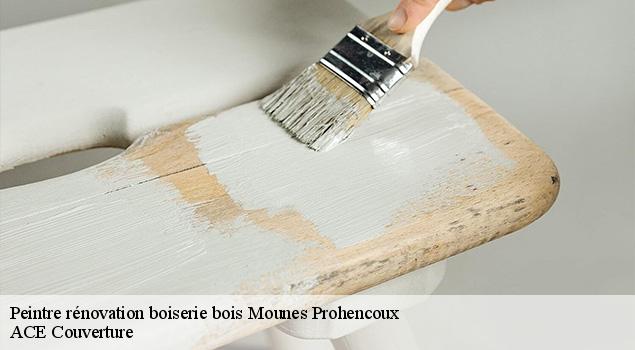 Peintre rénovation boiserie bois  mounes-prohencoux-12370 ACE Couverture 